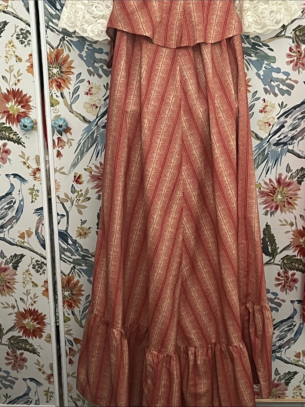 Recollections: Victorian-Inspired Striped Rust Dress with Lace Sleeves - Picture 6 of 8